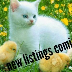 More new listings coming soon!